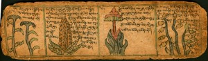 tibetan text