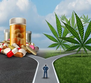 Marijuana Medical Choice