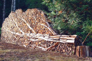 wood-pile-art-2